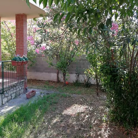 Galilei بيت ضيافة بيزا